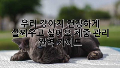 우리 강아지, 건강하게 살찌우고 싶어요? 체중 관리 완벽 가이드!